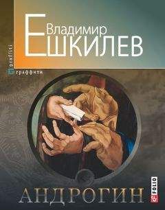 Читайте книги онлайн на Bookidrom.ru! Бесплатные книги в одном клике Владимир Ешкилев - Андрогин