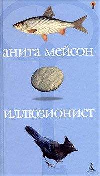 Читайте книги онлайн на Bookidrom.ru! Бесплатные книги в одном клике Анита Мейсон - Иллюзионист