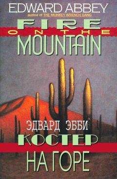 Читайте книги онлайн на Bookidrom.ru! Бесплатные книги в одном клике Эдвард Эбби - Костер на горе