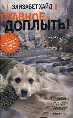 Читайте книги онлайн на Bookidrom.ru! Бесплатные книги в одном клике Элизабет Хайд - Главное - доплыть