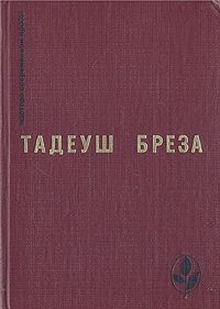 Читайте книги онлайн на Bookidrom.ru! Бесплатные книги в одном клике Тадеуш Бреза - Лабиринт