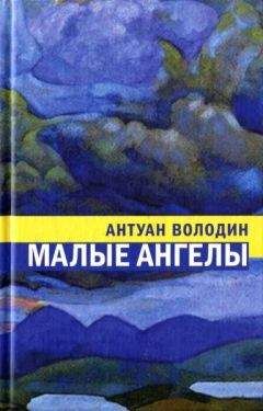 Читайте книги онлайн на Bookidrom.ru! Бесплатные книги в одном клике Антуан Володин - Малые ангелы