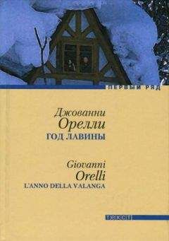 Читайте книги онлайн на Bookidrom.ru! Бесплатные книги в одном клике Джованни Орелли - Год лавины