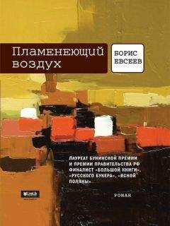 Читайте книги онлайн на Bookidrom.ru! Бесплатные книги в одном клике Борис Евсеев - Пламенеющий воздух