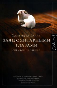 Читайте книги онлайн на Bookidrom.ru! Бесплатные книги в одном клике Эдмунд Вааль - Заяц с янтарными глазами: скрытое наследие