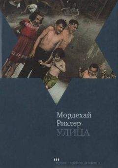 Читайте книги онлайн на Bookidrom.ru! Бесплатные книги в одном клике Мордехай Рихлер - Улица