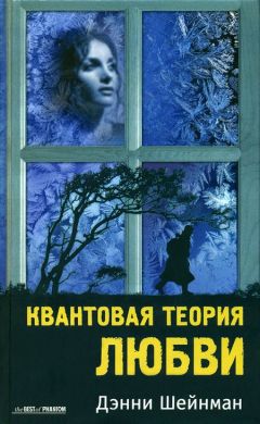 Читайте книги онлайн на Bookidrom.ru! Бесплатные книги в одном клике Дэнни Шейнман - Квантовая теория любви