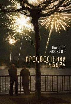 Читайте книги онлайн на Bookidrom.ru! Бесплатные книги в одном клике Евгений Москвин - Предвестники табора
