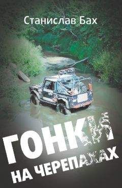 Читайте книги онлайн на Bookidrom.ru! Бесплатные книги в одном клике Станислав Бах - Гонки на черепахах