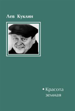 Читайте книги онлайн на Bookidrom.ru! Бесплатные книги в одном клике Лев Куклин - Красота земная