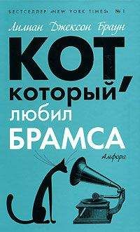 Читайте книги онлайн на Bookidrom.ru! Бесплатные книги в одном клике Лилиан Браун - Кот, который любил Брамса