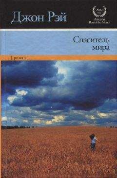 Читайте книги онлайн на Bookidrom.ru! Бесплатные книги в одном клике Джон Рэй - Спаситель мира