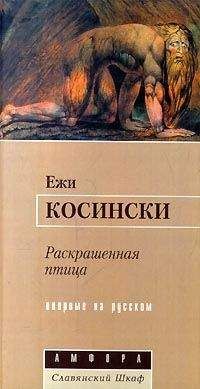 Читайте книги онлайн на Bookidrom.ru! Бесплатные книги в одном клике Ежи Косински - Раскрашенная птица