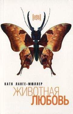 Читайте книги онлайн на Bookidrom.ru! Бесплатные книги в одном клике Катя Ланге-Мюллер - Животная любовь