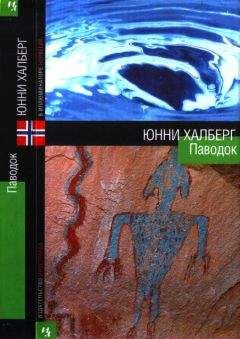 Читайте книги онлайн на Bookidrom.ru! Бесплатные книги в одном клике Юнни Халберг - Паводок