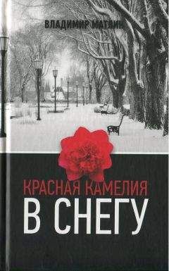 Читайте книги онлайн на Bookidrom.ru! Бесплатные книги в одном клике Владимир Матлин - Красная камелия в снегу