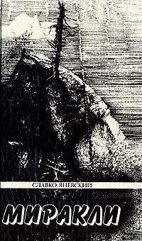 Читайте книги онлайн на Bookidrom.ru! Бесплатные книги в одном клике Славко Яневский - Песье распятие