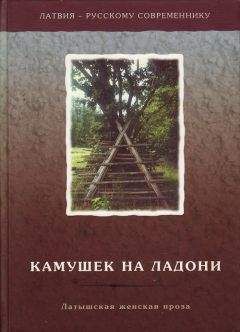 Читайте книги онлайн на Bookidrom.ru! Бесплатные книги в одном клике Илзе Индране - Камушек на ладони. Латышская женская проза