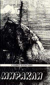 Читайте книги онлайн на Bookidrom.ru! Бесплатные книги в одном клике Славко Яневский - В ожидании чумы