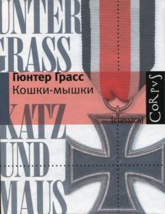 Читайте книги онлайн на Bookidrom.ru! Бесплатные книги в одном клике Гюнтер Грасс - Кошки-мышки