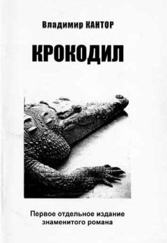 Читайте книги онлайн на Bookidrom.ru! Бесплатные книги в одном клике Владимир Кантор - Крокодил