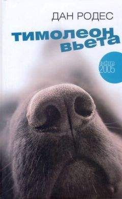 Читайте книги онлайн на Bookidrom.ru! Бесплатные книги в одном клике Дан Родес - Тимолеон Вьета. Сентиментальное путешествие