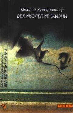 Читайте книги онлайн на Bookidrom.ru! Бесплатные книги в одном клике Михаэль Кумпфмюллер - Великолепие жизни