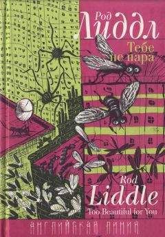 Читайте книги онлайн на Bookidrom.ru! Бесплатные книги в одном клике Род Лиддл - Тебе не пара