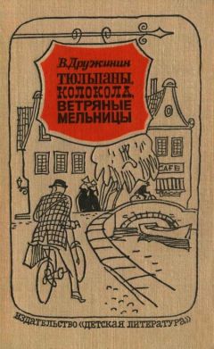 Владимир Дружинин - Тюльпаны, колокола, ветряные мельницы