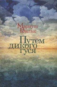 Читайте книги онлайн на Bookidrom.ru! Бесплатные книги в одном клике Мариуш Вильк - Путем дикого гуся