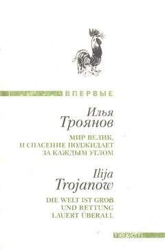 Читайте книги онлайн на Bookidrom.ru! Бесплатные книги в одном клике Илья Троянов - Мир велик, и спасение поджидает за каждым углом