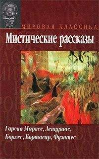 Читайте книги онлайн на Bookidrom.ru! Бесплатные книги в одном клике Габриэль Маркес - След твоей крови на снегу