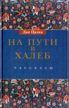 Читайте книги онлайн на Bookidrom.ru! Бесплатные книги в одном клике Дан Цалка - На пути в Халеб