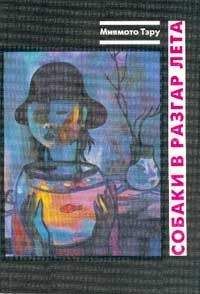 Читайте книги онлайн на Bookidrom.ru! Бесплатные книги в одном клике Тэру Миямото - Миямото Тэру