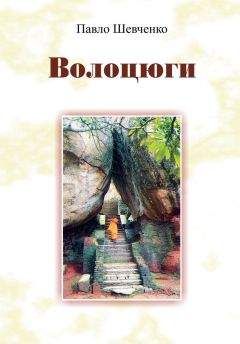 Читайте книги онлайн на Bookidrom.ru! Бесплатные книги в одном клике Павло Шевченко - Волоцюги