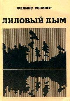 Читайте книги онлайн на Bookidrom.ru! Бесплатные книги в одном клике Феликс Розинер - Лиловый дым