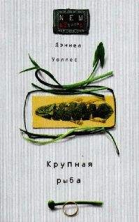 Читайте книги онлайн на Bookidrom.ru! Бесплатные книги в одном клике Дениел Уоллес - Крупная рыба