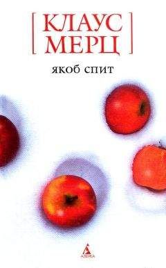 Читайте книги онлайн на Bookidrom.ru! Бесплатные книги в одном клике Клаус Мерц - Якоб спит