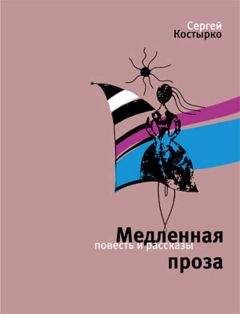 Читайте книги онлайн на Bookidrom.ru! Бесплатные книги в одном клике Сергей Костырко - Медленная проза (сборник)