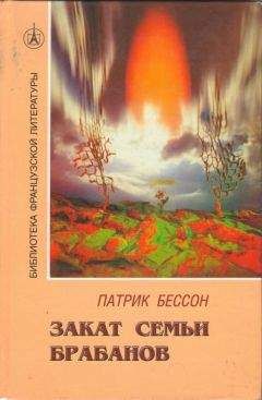 Читайте книги онлайн на Bookidrom.ru! Бесплатные книги в одном клике Патрик Бессон - Закат семьи Брабанов