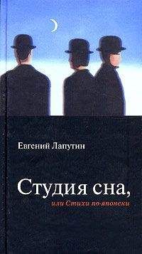 Читайте книги онлайн на Bookidrom.ru! Бесплатные книги в одном клике Евгений Лапутин - Студия сна, или Стихи по-японски