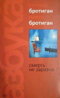Читайте книги онлайн на Bookidrom.ru! Бесплатные книги в одном клике Ричард Бротиган - Несчастливая женщина