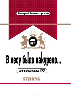 Читайте книги онлайн на Bookidrom.ru! Бесплатные книги в одном клике Валерий Зеленогорский - В лесу было накурено