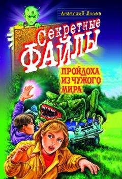 Читайте книги онлайн на Bookidrom.ru! Бесплатные книги в одном клике Анатолий Лосев - Пройдоха из чужого мира