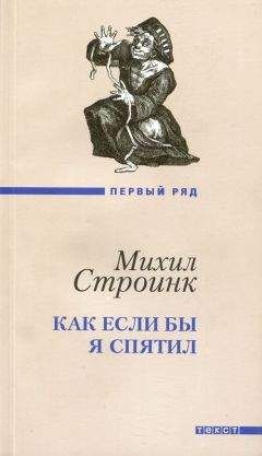Читайте книги онлайн на Bookidrom.ru! Бесплатные книги в одном клике Михил Строинк - Как если бы я спятил
