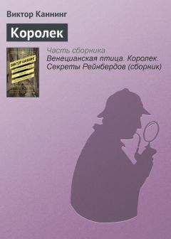 Читайте книги онлайн на Bookidrom.ru! Бесплатные книги в одном клике Виктор Каннинг - Королек