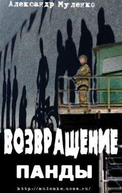 Читайте книги онлайн на Bookidrom.ru! Бесплатные книги в одном клике Александр Муленко - Возвращение Панды