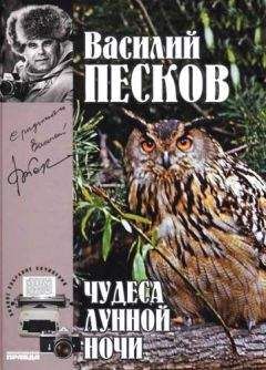 Читайте книги онлайн на Bookidrom.ru! Бесплатные книги в одном клике Василий Песков - Полное собрание сочинений. Том 15. Чудеса лунной ночи