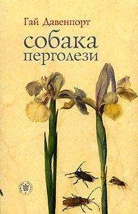 Читайте книги онлайн на Bookidrom.ru! Бесплатные книги в одном клике Гай Давенпорт - Собака Перголези