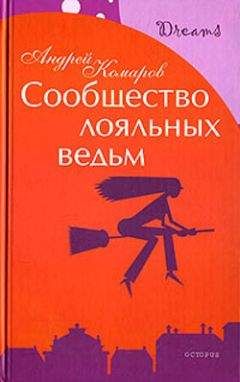 Читайте книги онлайн на Bookidrom.ru! Бесплатные книги в одном клике Андрей Комаров - Сообщество лояльных ведьм